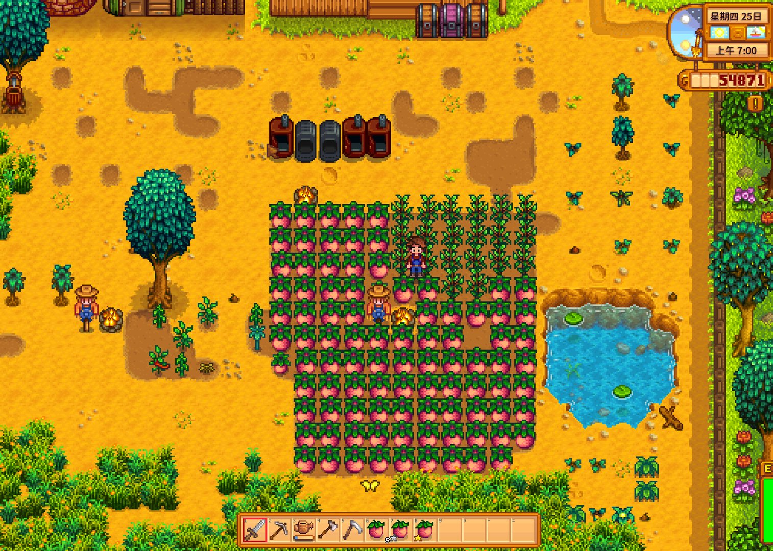 全面战争：三国 年度版 截图11